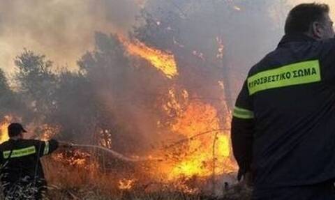 Κατάσταση έκτακτης ανάγκης στην Εύβοια- Αίτημα για βοήθεια από Ευρώπη