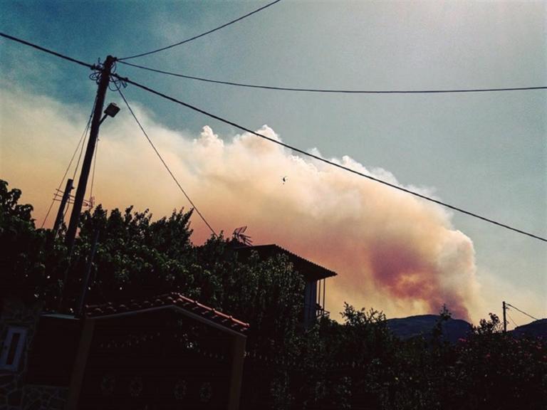 “Θρίλερ” στην Εύβοια: Μάχη με φλόγες και ανέμους!