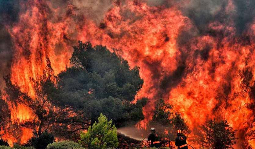 Μεγάλη φωτιά στην Ηλεία – Ισχυροί άνεμοι στην περιοχή