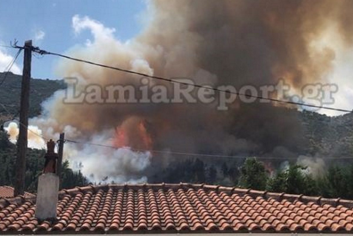 Μια ανάσα από τα πρώτα σπίτια η φωτιά στην Αταλάντη! (ΒΙΝΤΕΟ)