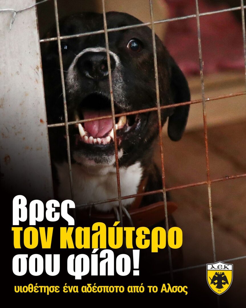 ΠΑΕ ΑΕΚ: «Ο καλύτερός σου φίλος σε περιμένει στο Άλσος της πόλης μας»