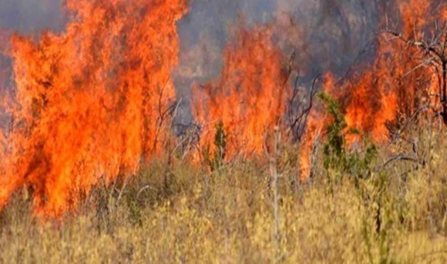 Θεσσαλονίκη: Σύστημα έγκαιρου εντοπισμού πυρκαγιάς από φοιτητική ομάδα – Πώς λειτουργεί