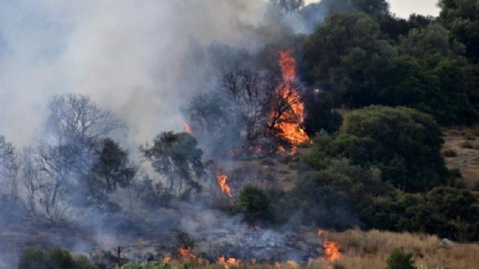 Σε ύφεση όλες οι πυρκαγιές – Σύλληψη 57χρονου για την πυρκαγιά στα Στύρα Ευβοίας