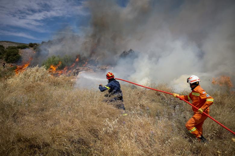 Συνολικά 42 πυρκαγιές εκδηλώθηκαν το τελευταίο εικοσιτετράωρο