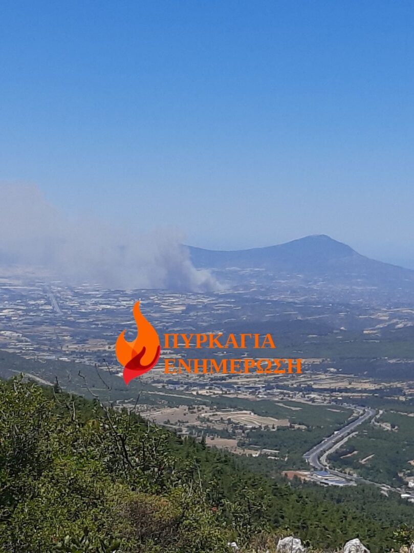 Μεγάλη φωτιά στο Σχηματάρι-Εκκενώνεται οικισμός του Αγίου Γεωργίου στο Δήλεσι(vid)
