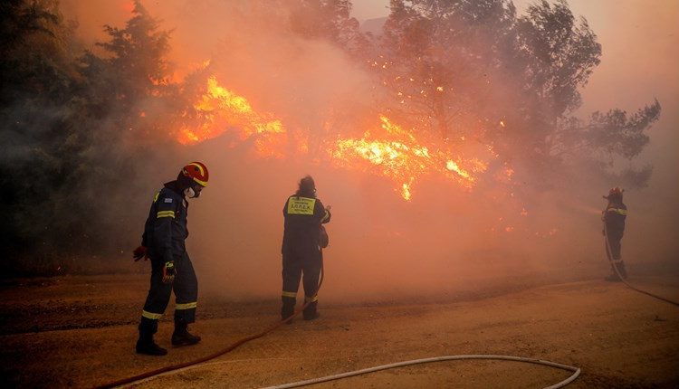 Λασίθι: Χειροπέδες σε 25χρονο που έβαλε φωτιά για ανταγωνιστικούς λόγους