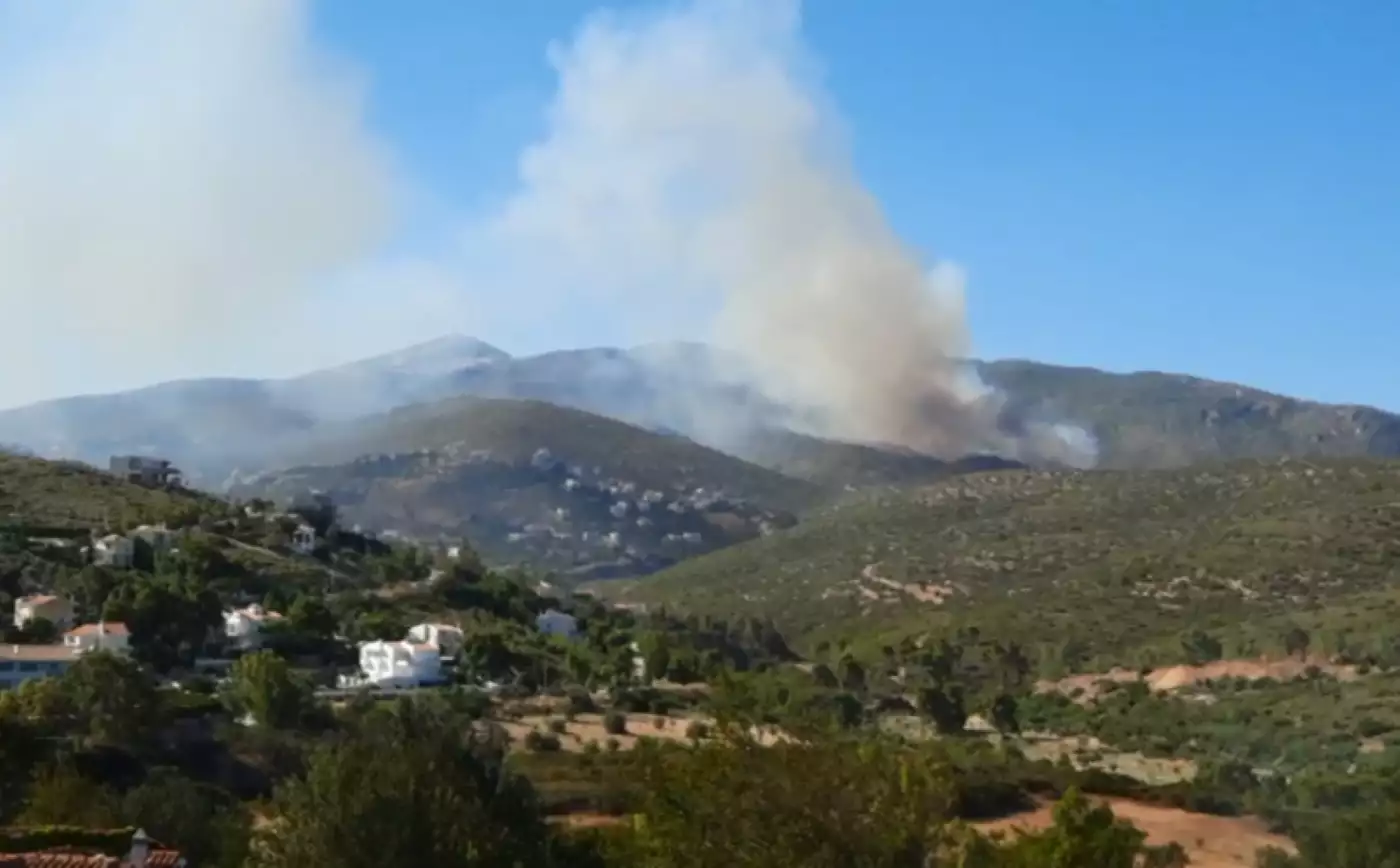 Φωτιά στο Νταού Πεντέλης – Πνέουν ισχυροί άνεμοι