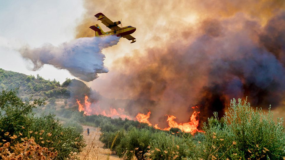 Φυλή: Οροθετήθηκε η φωτιά – Δεν απειλείται κατοικημένη περιοχή