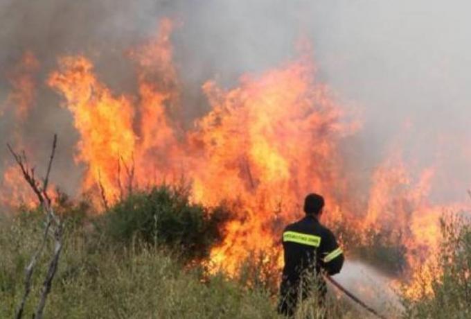 Φωτιά στη Μάνδρα: Επιχειρούν ισχυρές δυνάμεις της πυροσβεστικής και καναντέρ