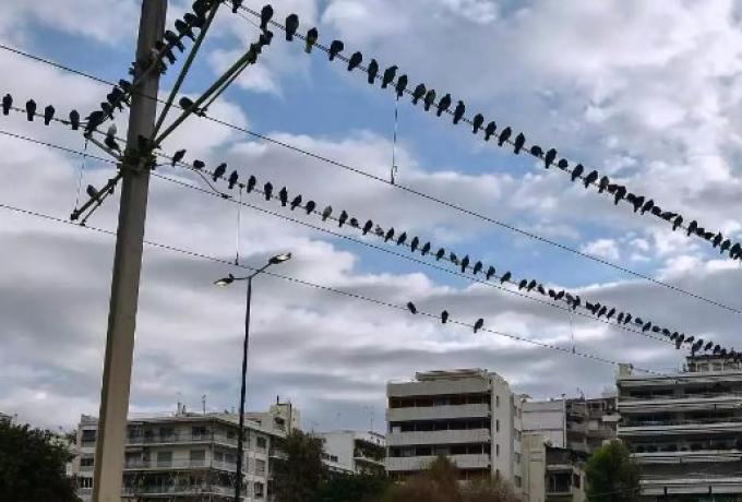 Καιρός 20/10: Με υψηλές για την εποχή θερμοκρασίες η Πέμπτη