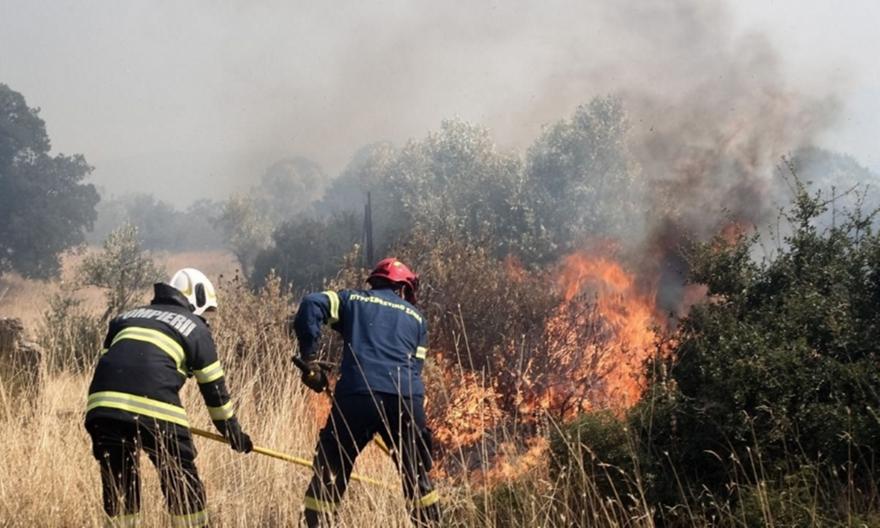 Συνελήφθη 10χρονος για εμπρησμό στη Λέσβο – Η απίστευτη εξήγηση που έδωσε!