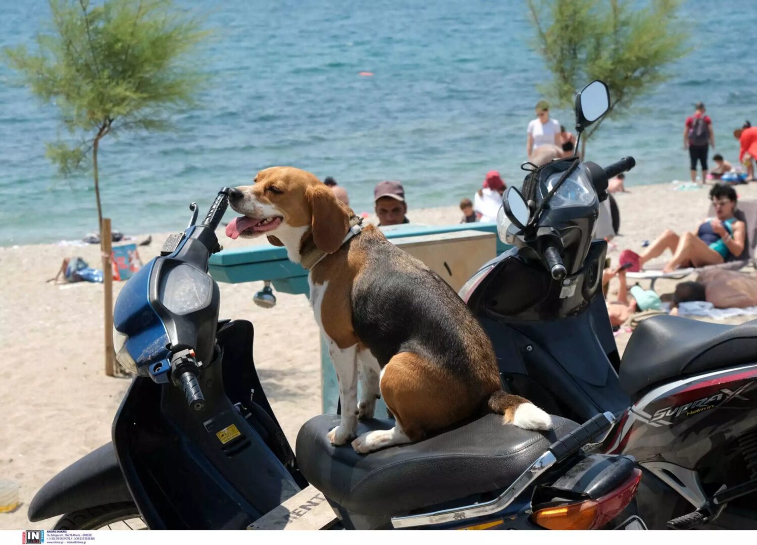 Καιρός 16/9: Ανεβαίνει η θερμοκρασία – Που θα φτάσει τους 38 βαθμούς ο υδράργυρος