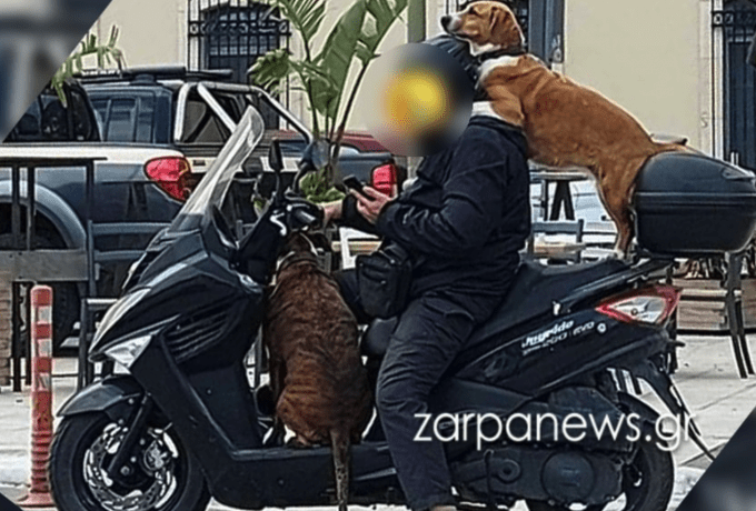 Κρήτη: Πρόστιμο 1.500 ευρώ σε οδηγό για τρικάβαλο με δύο σκύλους – «Δεν είναι επικίνδυνο» λέει ο ίδιος