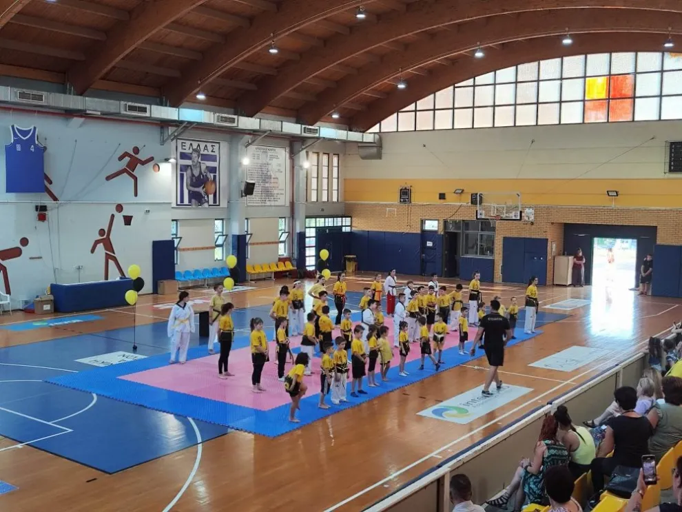Μια εκπληκτική χρονιά σε Tae Kwon Do και Kick Boxing, ολοκληρώθηκε με επιτυχία
