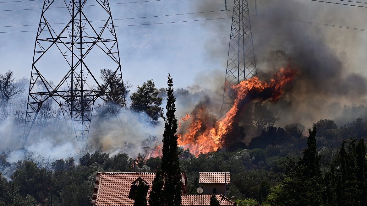 Φωτιά στον Κουβαρά: Οι φλόγες κάλυψαν 12 χλμ – Αφέθηκε ελεύθερος ο 32χρονος που προσήχθη