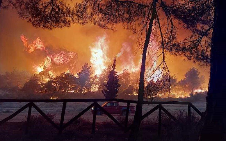 Τραγωδία: 18 απανθρακωμένοι σοροί βρέθηκαν στην Δαδιά