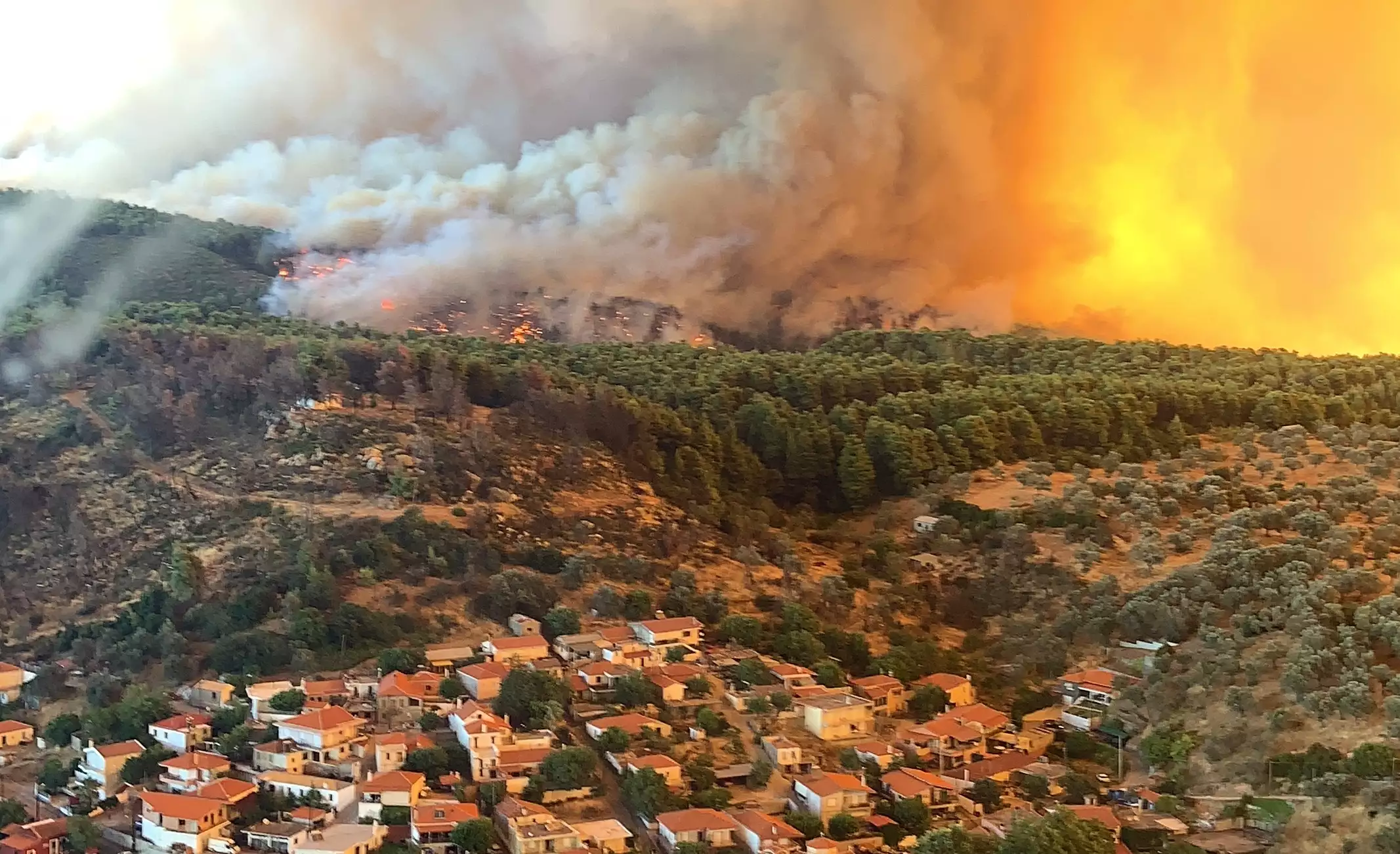 Φωτιά στην Εύβοια: Κρατείται 18χρονος για εμπρησμό στα Ψαχνά – Το ομολόγησε η μητέρα του