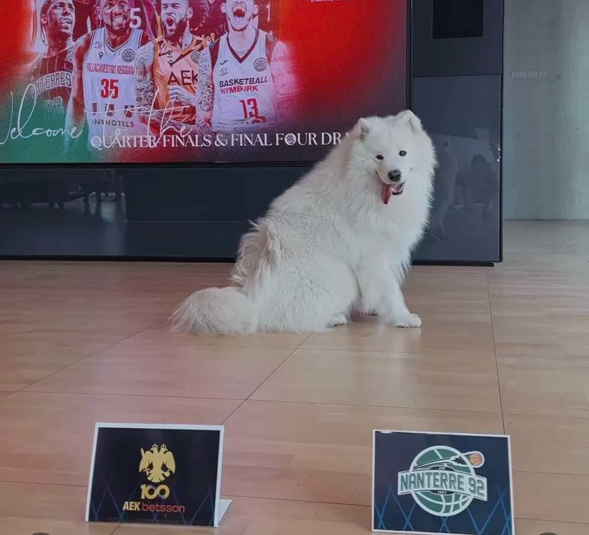 Ο «προφήτης» σκύλος του BCL έστειλε την ΑΕΚ στο Final 4 του Basketball Champions League! (VIDEO)