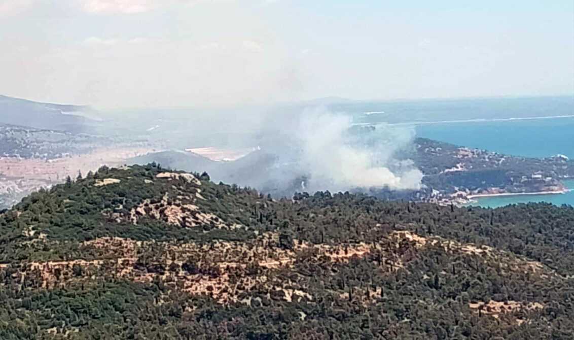 Συναγερμός στην Αρετή Ηλείας: Φωτιά σε δασική έκταση – Επιχειρούν εναέρια μέσα