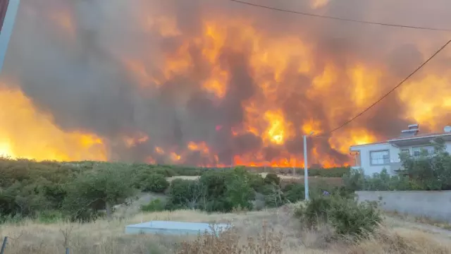 Στο έλεος μεγάλης φωτιάς η βορειοδυτική Τουρκία – Καπνοί μέχρι την Αττική