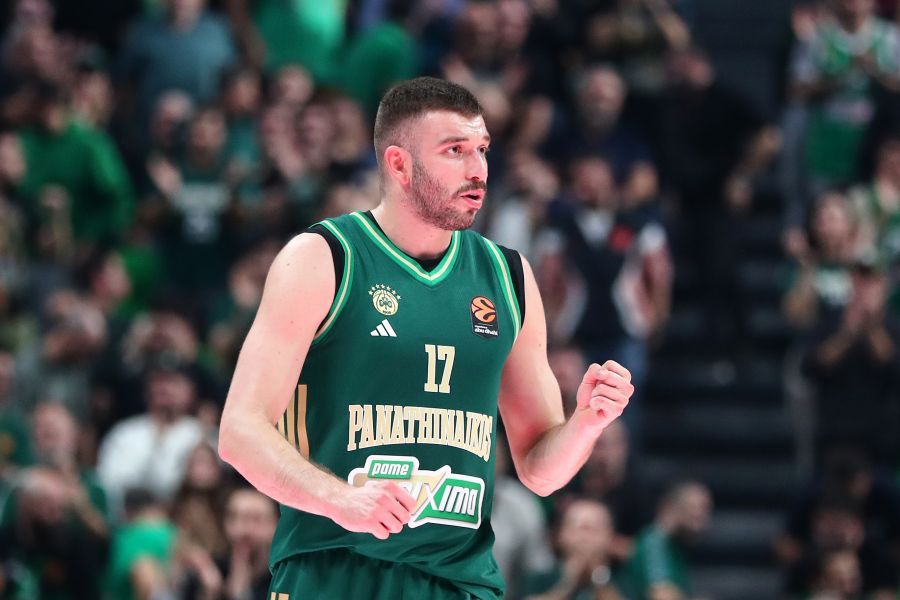 Ρογκαβόπουλος: «Τον Φεβρουάριο, στο επόμενο παράθυρο, αν κληθώ, θα δώσω το παρών»