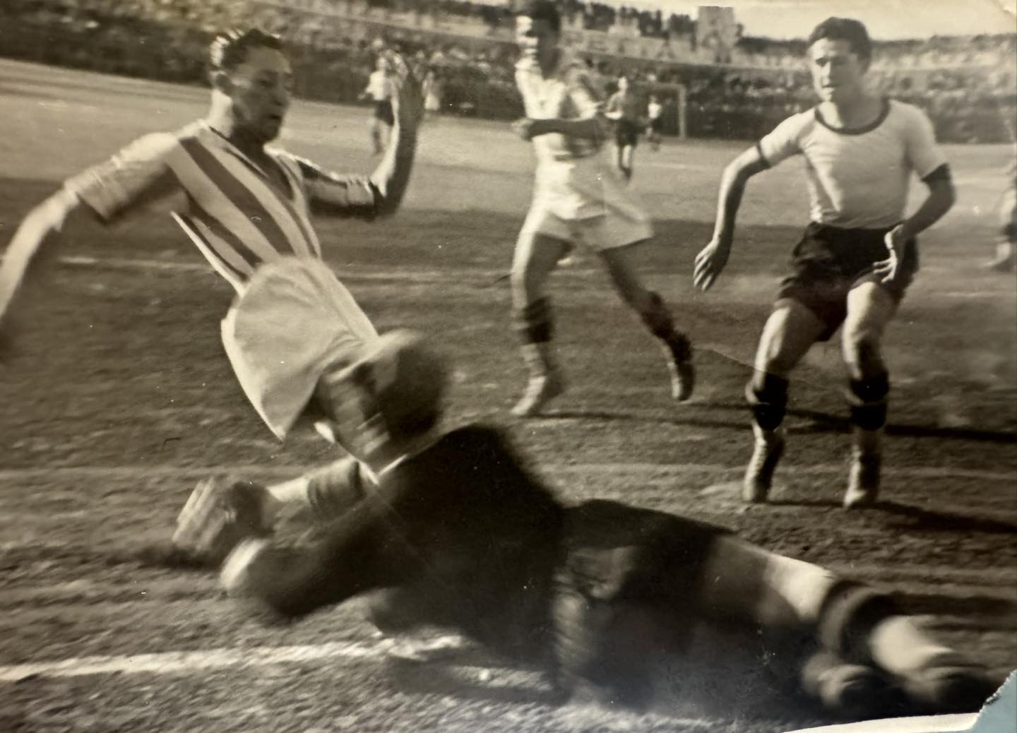 Αφιέρωμα από το Μουσείο Ιστορίας της ΑΕΚ στον Γιώργο Σίμο – Χαραλάμπους!